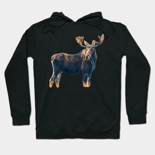 Moose - Woodland Themed Kids Room, Funny Gifts For Forester, Cute Animals Hoodie